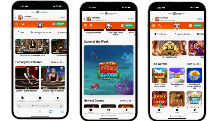 Toegang tot het casino via de officiële mobiele app